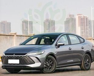 BYD Andere Gebrauchtwagen