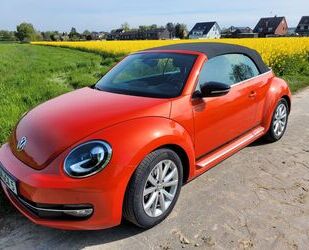 VW Beetle Gebrauchtwagen