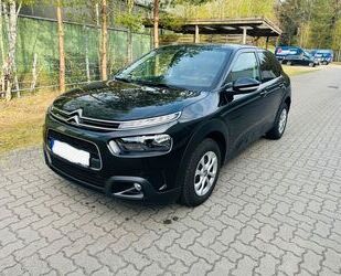 Citroen C4 Cactus Gebrauchtwagen