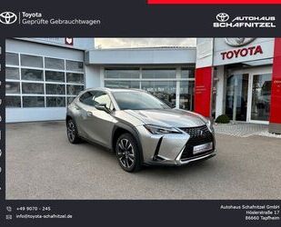 Lexus UX Gebrauchtwagen