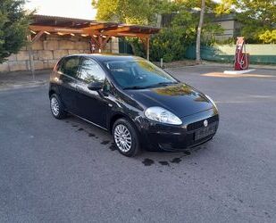 Fiat Punto Gebrauchtwagen