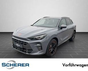 Cupra Terramar Gebrauchtwagen