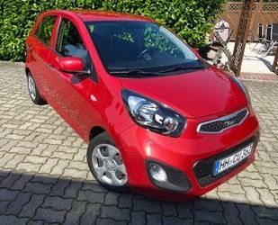 Kia Picanto Gebrauchtwagen