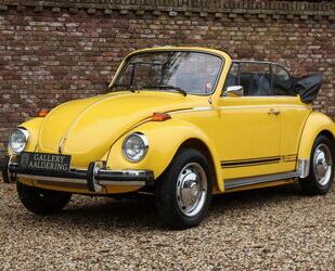 VW Beetle Gebrauchtwagen