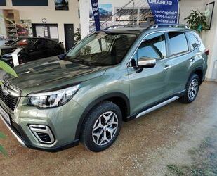 Subaru Forester Gebrauchtwagen