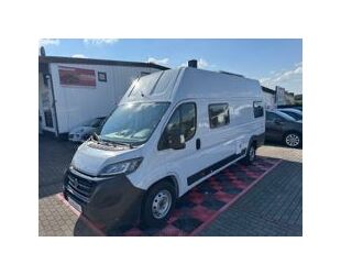 Fiat Ducato Gebrauchtwagen