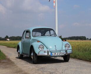 VW Käfer Gebrauchtwagen