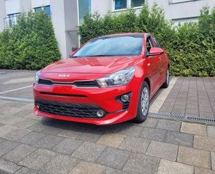 Kia Rio Gebrauchtwagen