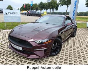 Ford Mustang Gebrauchtwagen
