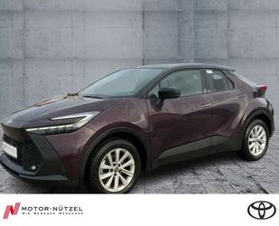 Toyota C-HR Gebrauchtwagen
