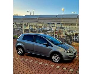 Fiat Punto Evo Gebrauchtwagen