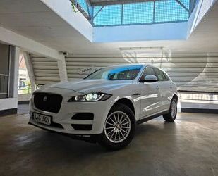 Jaguar F-Pace Gebrauchtwagen