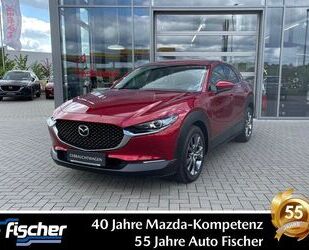 Mazda CX-30 Gebrauchtwagen