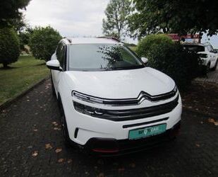 Citroen C5 Aircross Gebrauchtwagen