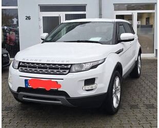 Land Rover Range Rover Evoque Gebrauchtwagen