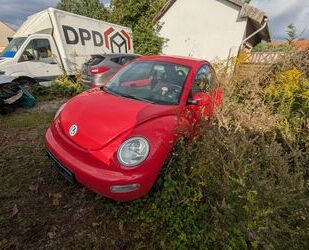 VW New Beetle Gebrauchtwagen