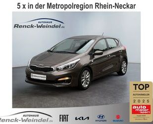 Kia ceed / Ceed Gebrauchtwagen