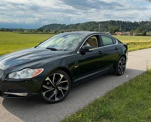 Jaguar XF Gebrauchtwagen