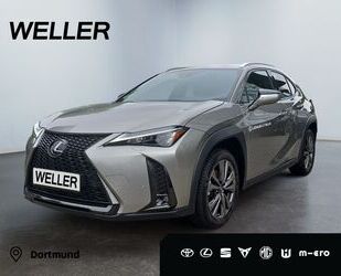 Lexus UX Gebrauchtwagen