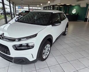 VW C4 Cactus 