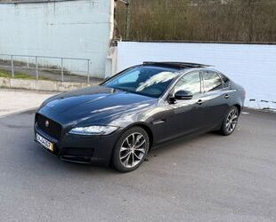Jaguar XF Gebrauchtwagen