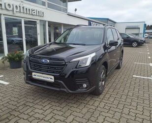 Subaru Forester Gebrauchtwagen