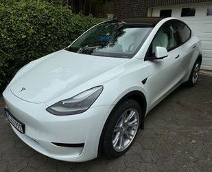 Tesla Model Y Gebrauchtwagen