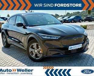 Ford Mustang Mach-E Gebrauchtwagen