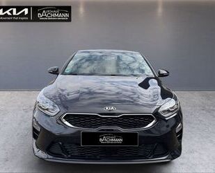 Kia ceed / Ceed Gebrauchtwagen