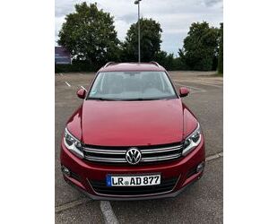 VW Tiguan Gebrauchtwagen