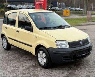 Fiat Panda Gebrauchtwagen