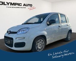 Fiat Panda Gebrauchtwagen