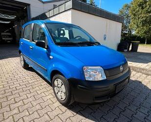 Fiat Panda Gebrauchtwagen