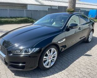 Jaguar XE Gebrauchtwagen
