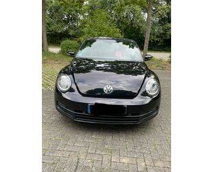 VW Beetle Gebrauchtwagen
