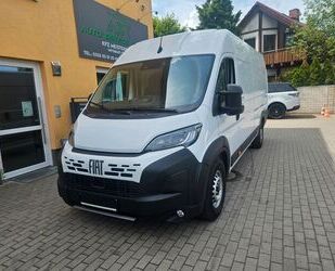 Fiat Ducato Gebrauchtwagen
