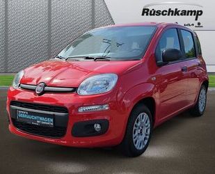 Fiat Panda Gebrauchtwagen