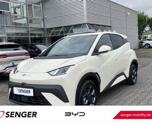 BYD DOLPHIN Gebrauchtwagen