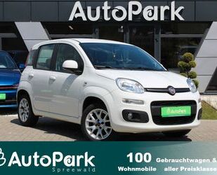 Fiat Panda Gebrauchtwagen