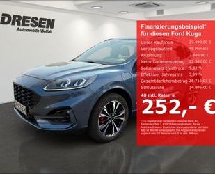 Ford Kuga Gebrauchtwagen