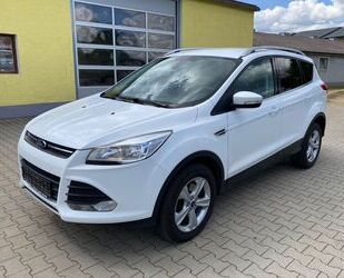 Ford Kuga Gebrauchtwagen