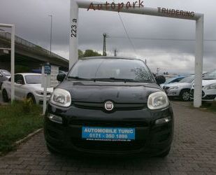Fiat Panda Gebrauchtwagen