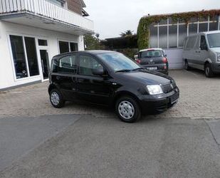 Fiat Panda Gebrauchtwagen