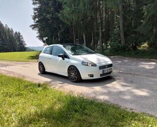 Fiat Punto Gebrauchtwagen