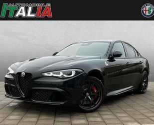 Alfa Romeo Giulia Gebrauchtwagen