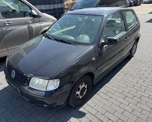 VW Polo Gebrauchtwagen