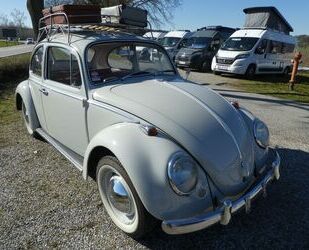 VW Käfer Gebrauchtwagen