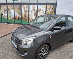 Suzuki Celerio Gebrauchtwagen