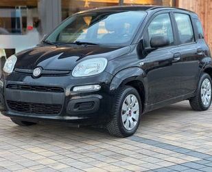 Fiat Panda Gebrauchtwagen