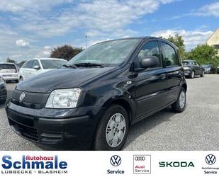 Fiat Panda Gebrauchtwagen